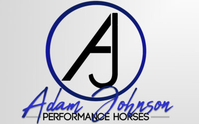 Adam Johnson Performance Horses Non-Pros
