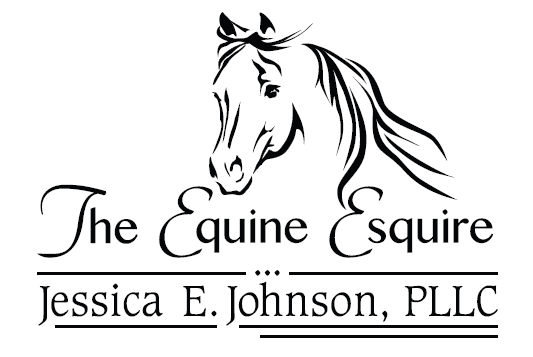 The Equine Esquire – Jessica Johnson