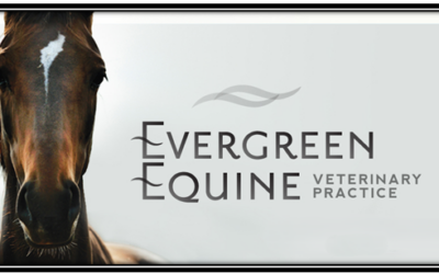 Evergreen Equine Vet