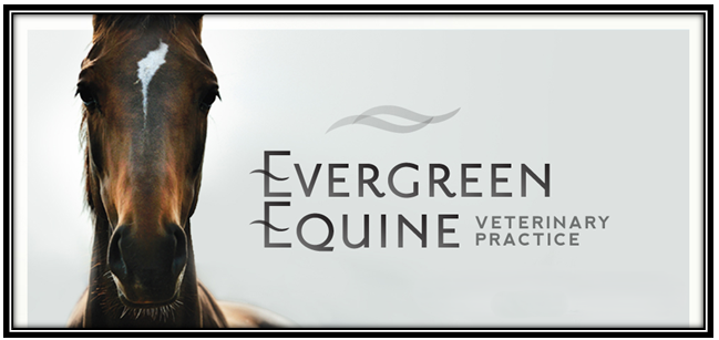 Evergreen Equine Vet